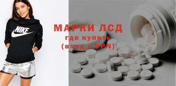 spice Аркадак