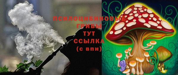 spice Аркадак